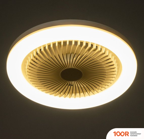 Вентилятор BayerLux ВИХРЬ 9724554 (337538)