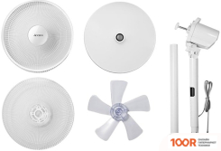 Вентилятор Airmate CS35-R3 (337529)