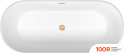 Ванна Wellsee SHELL 170X75 28170304R (ОТДЕЛЬНОСТОЯЩАЯ ВАННА БЕЛЫЙ ГЛЯНЕЦ, ЭКРАН, НОЖКИ, СИФОН-АВТОМАТ ЗОЛОТО) (337313)