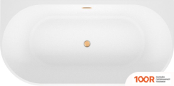 Ванна Wellsee EXCELLENCE PRO 170X75 28760304R (ПРИСТЕННАЯ ВАННА БЕЛЫЙ ГЛЯНЕЦ, ЭКРАН, НОЖКИ, СИФОН-АВТОМАТ ЗОЛОТО) (337119)