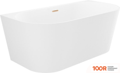 Ванна Wellsee EXCELLENCE PRO 170X75 28760304R (ПРИСТЕННАЯ ВАННА БЕЛЫЙ ГЛЯНЕЦ, ЭКРАН, НОЖКИ, СИФОН-АВТОМАТ ЗОЛОТО) (337119)