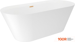 Ванна Wellsee CUTE TWIN R 168X75 23840104R (ОТДЕЛЬНОСТОЯЩАЯ ВАННА БЕЛЫЙ ГЛЯНЕЦ, ЭКРАН, НОЖКИ, СИФОН-АВТОМАТ ЗОЛОТО) (337055)