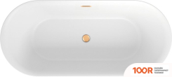 Ванна Wellsee CUTE TWIN R 168X75 23840104R (ОТДЕЛЬНОСТОЯЩАЯ ВАННА БЕЛЫЙ ГЛЯНЕЦ, ЭКРАН, НОЖКИ, СИФОН-АВТОМАТ ЗОЛОТО) (337055)