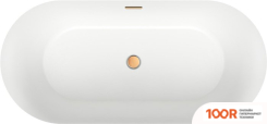 Ванна Wellsee CROQUIS 166X77 230301004 (ОТДЕЛЬНОСТОЯЩАЯ ВАННА БЕЛЫЙ ГЛЯНЕЦ, ЭКРАН, НОЖКИ, СИФОН-АВТОМАТ ЗОЛОТО) (337048)