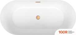 Ванна Wellsee CHALICE PERFECTION 166X77 230601004 (ОТДЕЛЬНОСТОЯЩАЯ ВАННА БЕЛЫЙ ГЛЯНЕЦ, ЭКРАН, НОЖКИ, СИФОН-АВТОМАТ ЗОЛОТО) (336936)