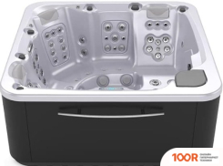 Ванна Aquavia Spa ESSENCE (SILVER/GRAPHITE WOODERMAX) (334133)