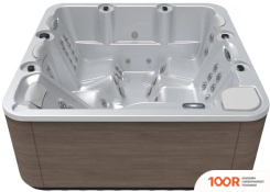 Ванна Aquavia Spa AQUALIFE (SILVER/THUNDER WOODERMAX) (334046)