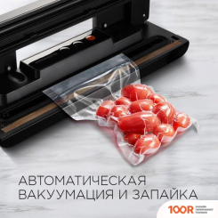 Вакуумный упаковщик Redmond (Редмонд) RVS-024 (333590)