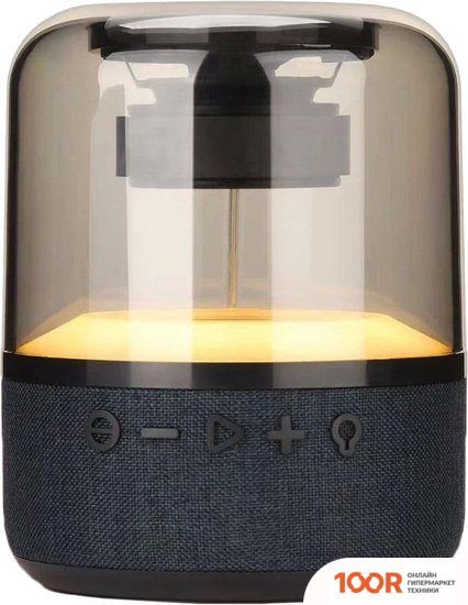 Беспроводная колонка Zarmans CS-301 (332901)