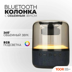 Беспроводная колонка Zarmans CS-301 (332901)