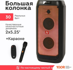 Беспроводная колонка X-Max SUPERFLAME FG205-08 (332896)