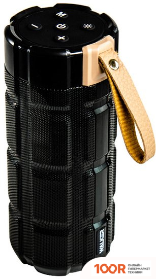 Беспроводная колонка Walker WSP-170 (ЧЕРНЫЙ) (332879)