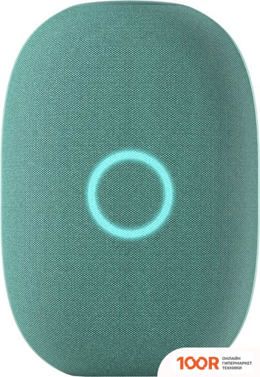 Беспроводная колонка VK КАПСУЛА (ХВОЙНЫЙ ЗЕЛЕНЫЙ) (332846)