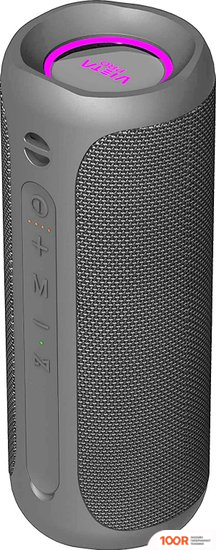 Беспроводная колонка Vieta Pro GOODY 2 (СЕРЫЙ) (332811)