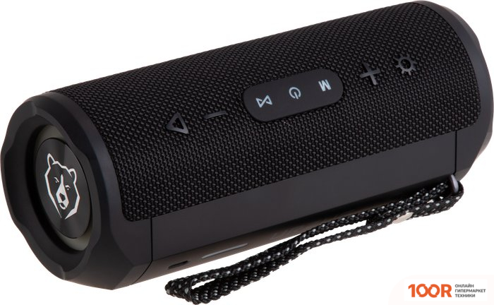 Беспроводная колонка URZUS RIFF (ЧЕРНЫЙ) (332805)