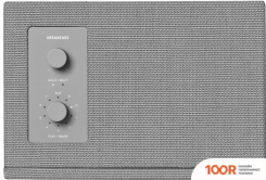 Беспроводная колонка Urbanears STAMMEN (СЕРЫЙ) (332797)