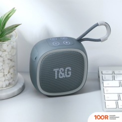 Беспроводная колонка T&G TG-659 (СЕРЫЙ) (332761)