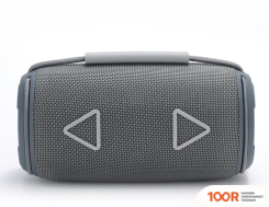 Беспроводная колонка T&G TG-657 (СЕРЫЙ) (332755)