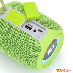 Беспроводная колонка T&G TG-655 (СВЕТЛО-СЕРЫЙ) (332749)