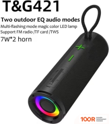Беспроводная колонка T&G TG-421 (ЧЕРНЫЙ) (332716)