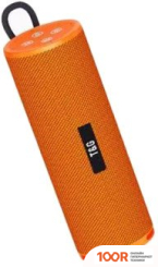Беспроводная колонка T&G TG-421 (ОРАНЖЕВЫЙ) (332712)