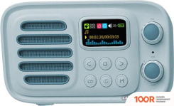 Беспроводная колонка SOUNARC P2 (332599)