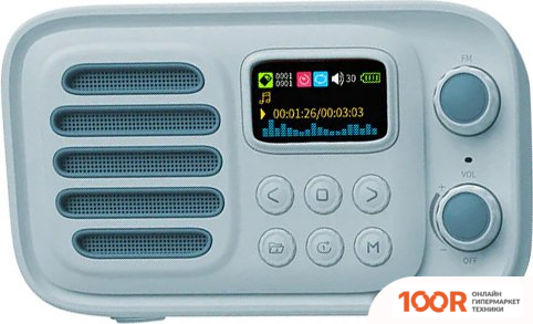 Беспроводная колонка SOUNARC P2 (332599)