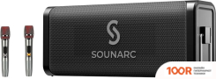 Беспроводная колонка SOUNARC M1 (С 2-МЯ МИКРОФОНАМИ) (332596)