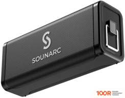 Беспроводная колонка SOUNARC M1 (С 2-МЯ МИКРОФОНАМИ) (332596)