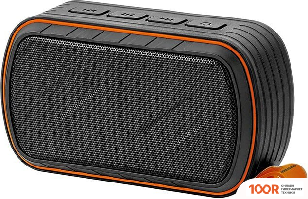 Беспроводная колонка Redmond (Редмонд) SOUND SPORT (332553)