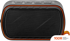 Беспроводная колонка Redmond (Редмонд) SOUND SPORT (332553)
