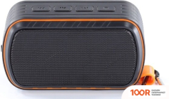 Беспроводная колонка Redmond (Редмонд) SOUND SPORT (332553)