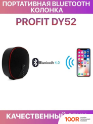 Беспроводная колонка Profit DY-52 (332524)