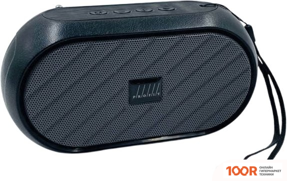 Беспроводная колонка Profit C20 (332521)