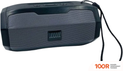 Беспроводная колонка Profit C10 (332518)