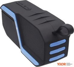 Беспроводная колонка NewRixing NR-5019 (ЧЕРНЫЙ/СИНИЙ) (332500)