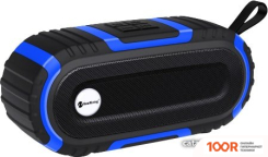 Беспроводная колонка NewRixing NR-5016 (ЧЕРНЫЙ/СИНИЙ) (332497)