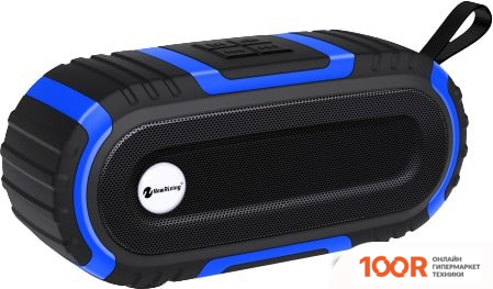 Беспроводная колонка NewRixing NR-5016 (ЧЕРНЫЙ/СИНИЙ) (332497)