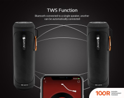 Беспроводная колонка NewRixing NR-4016A (ЧЕРНЫЙ) (332489)