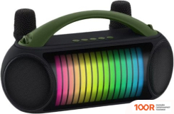 Беспроводная колонка NewRixing NR-222W (ЧЕРНЫЙ/ЗЕЛЕНЫЙ) (332482)