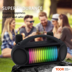 Беспроводная колонка NewRixing NR-222W (ЧЕРНЫЙ) (332481)