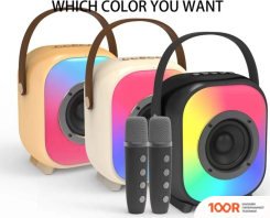 Беспроводная колонка NewRixing NR-168W (ЧЕРНЫЙ) (332480)