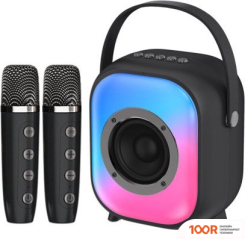 Беспроводная колонка NewRixing NR-168W (ЧЕРНЫЙ) (332480)