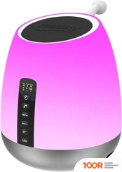 Беспроводная колонка Musky DY50 (332472)