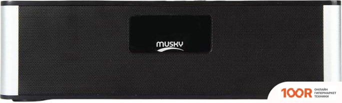Беспроводная колонка Musky DY21L (ЧЕРНЫЙ/СЕРЕБРИСТЫЙ) (332466)