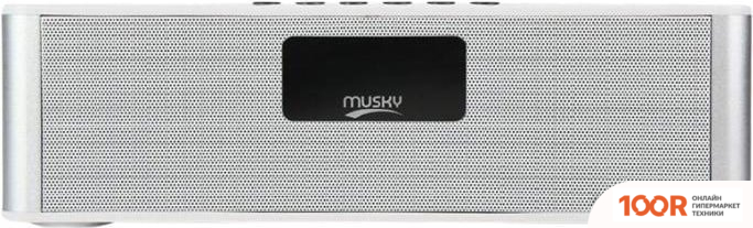 Беспроводная колонка Musky DY21L (БЕЛЫЙ/СЕРЕБРИСТЫЙ) (332464)