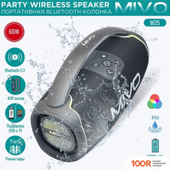 Беспроводная колонка Mivo M25 (ЧЕРНЫЙ) (332411)
