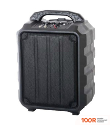 Беспроводная колонка Leem PR-6 (332347)