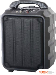 Беспроводная колонка Leem PR-6 (332347)