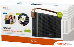 Беспроводная колонка InterStep SBS-230 (ЧЕРНЫЙ) (332312)